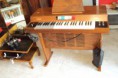 /album/galleria-foto-homepage/organo-jpg/
